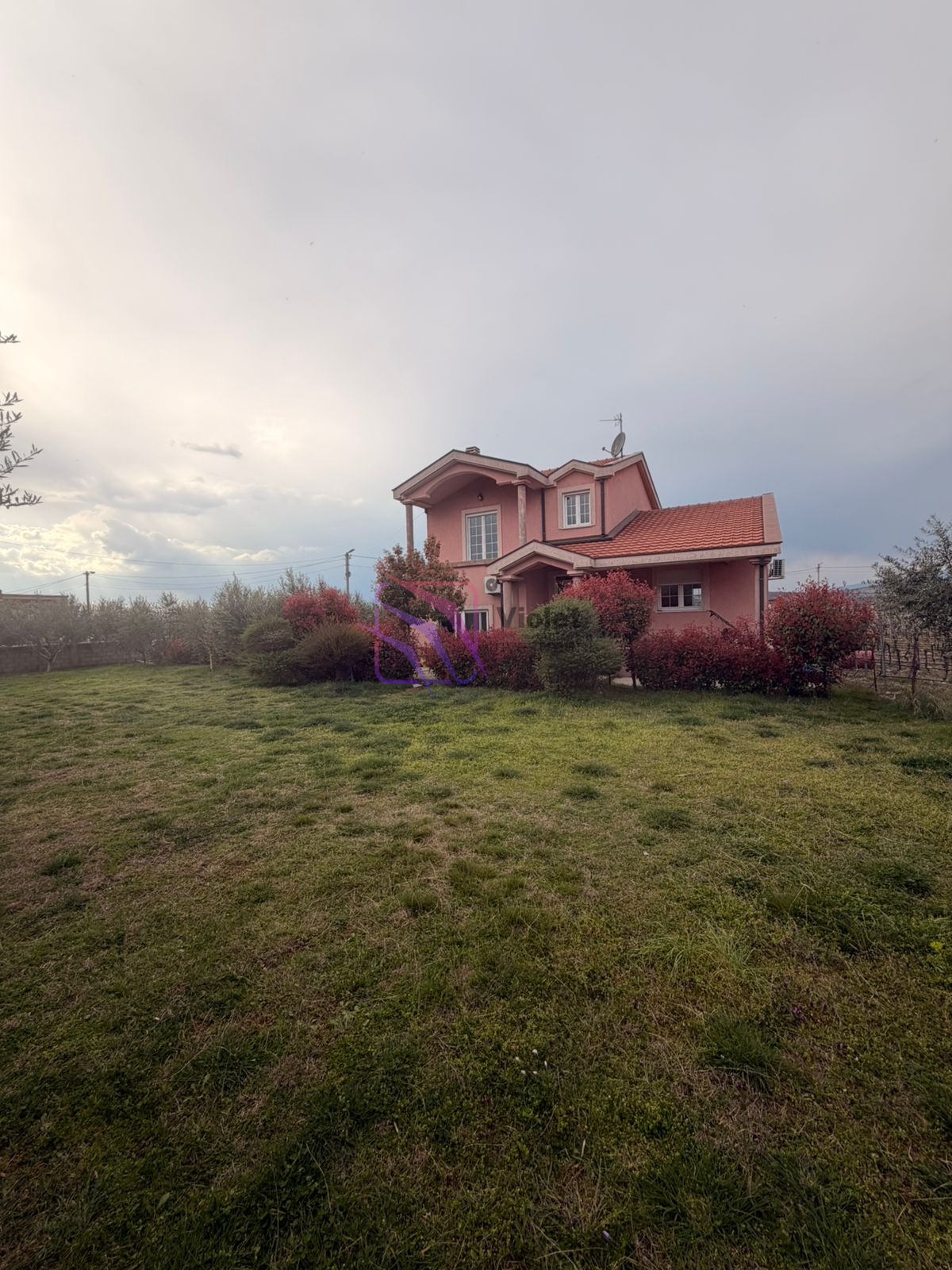 WhatsApp Image 2026-03-31 at 13.46.00