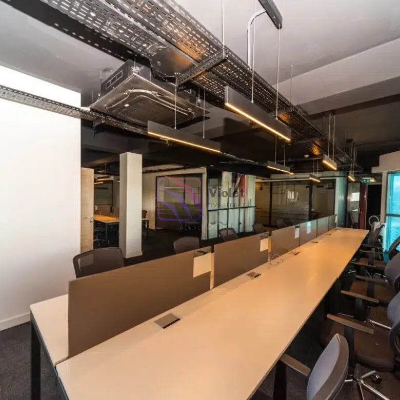 office building for rent Podgorica, commercial property Golubovci Podgorica rent, office space near Podgorica Airport, business building Montenegro rent, office 705 m2 Podgorica, corporate headquarters Podgorica Montenegro, commercial real estate Podgorica rent, violet investment