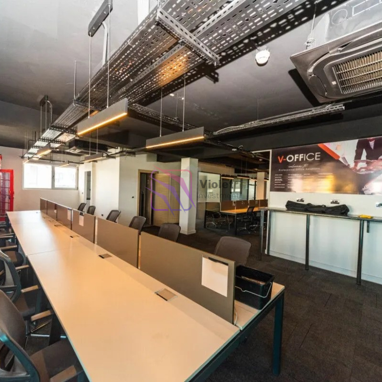 office building for rent Podgorica, commercial property Golubovci Podgorica rent, office space near Podgorica Airport, business building Montenegro rent, office 705 m2 Podgorica, corporate headquarters Podgorica Montenegro, commercial real estate Podgorica rent, violet investment