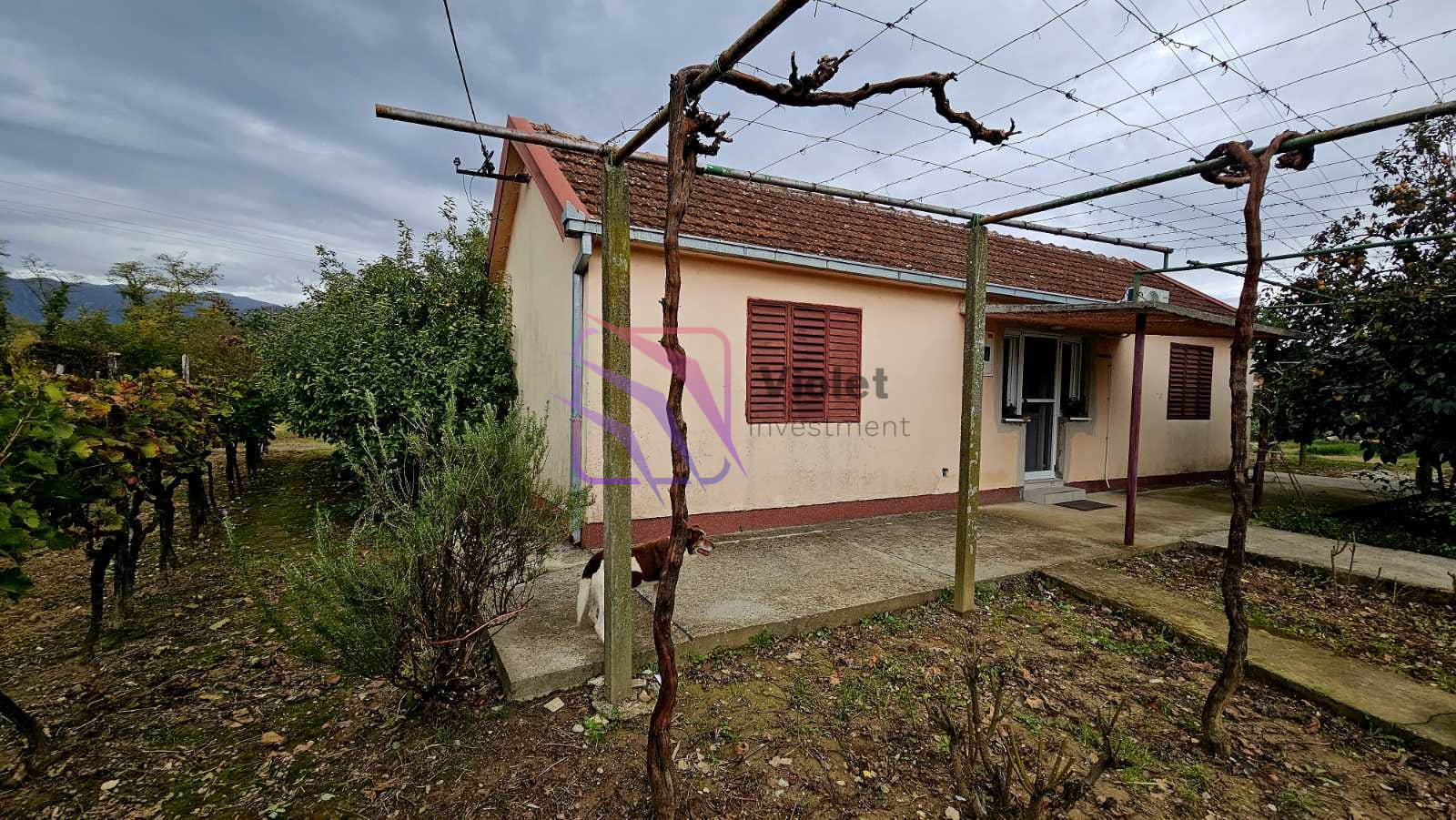 WhatsApp Image 2025-12-12 at 19.39.43 (1)