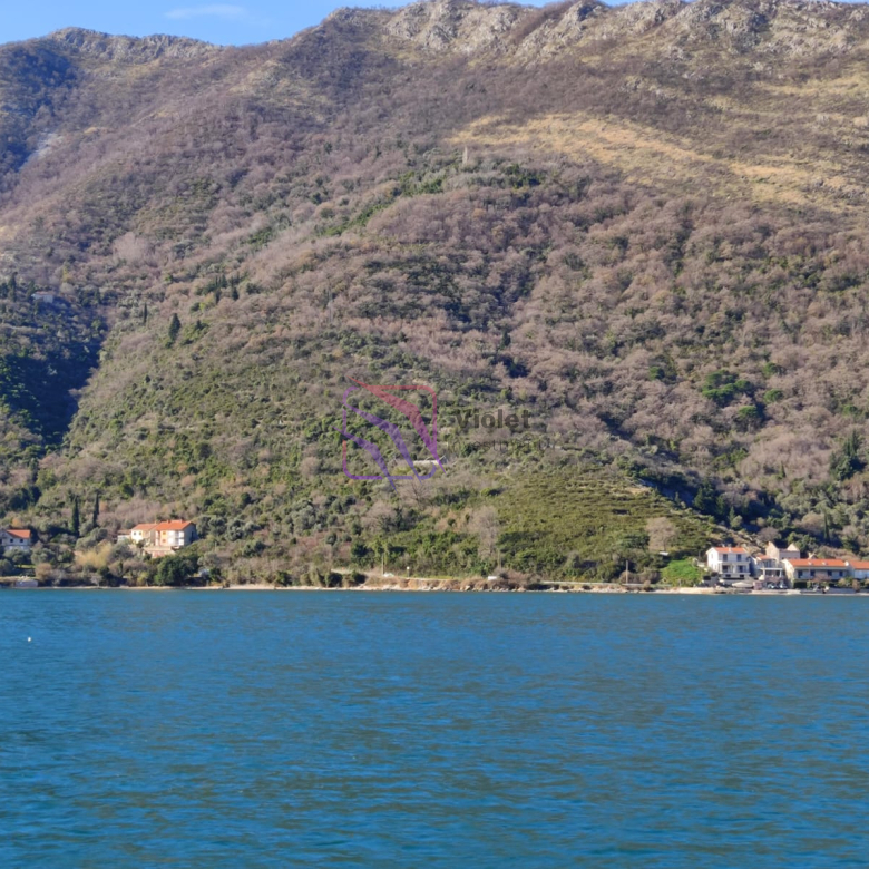 waterfront land for sale Kamenari Montenegro, development land Bay of Kotor investment, seafront land Montenegro 50000m2, real estate development Montenegro coast, land near Porto Montenegro investment opportunity, luxury project land Adriatic Montenegro,violet investment