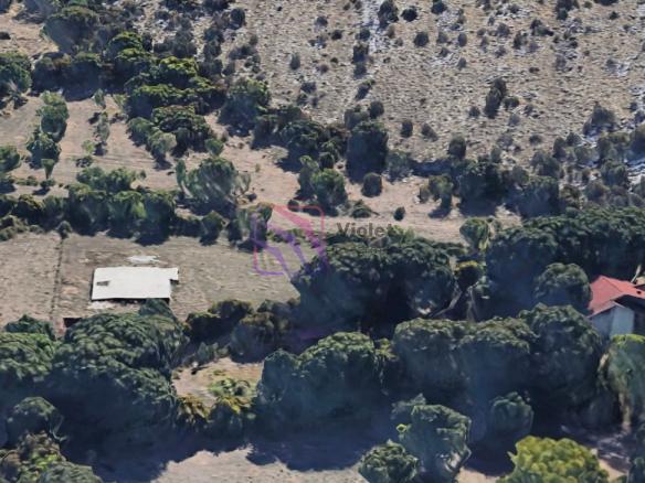 WhatsApp Image 2026 04 06 at 13.01.09