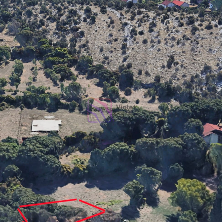 WhatsApp Image 2026 04 06 at 13.01.09