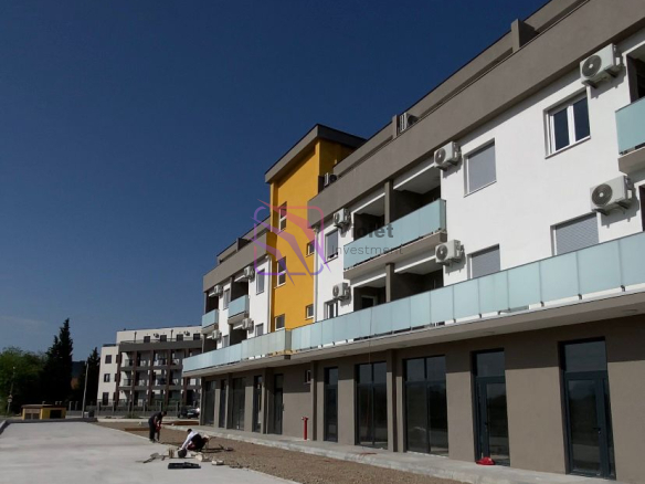 WhatsApp Image 2026 04 17 at 10.52.50