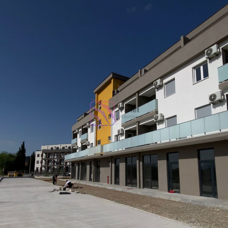 WhatsApp Image 2026 04 17 at 10.52.50