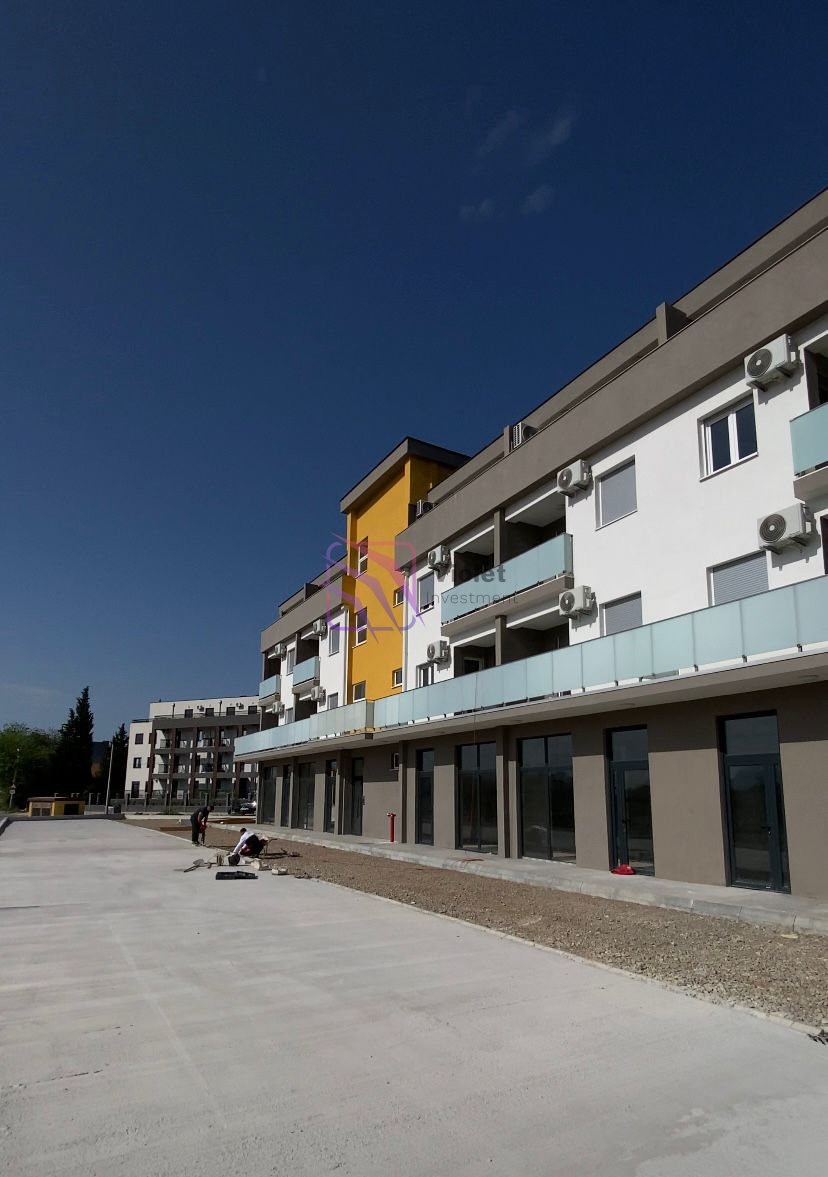 WhatsApp Image 2026-04-17 at 10.52.50