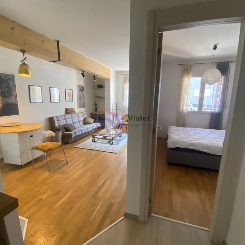 One Bedroom Apartment For Rent, 41m², Zabjelo, Podgorica