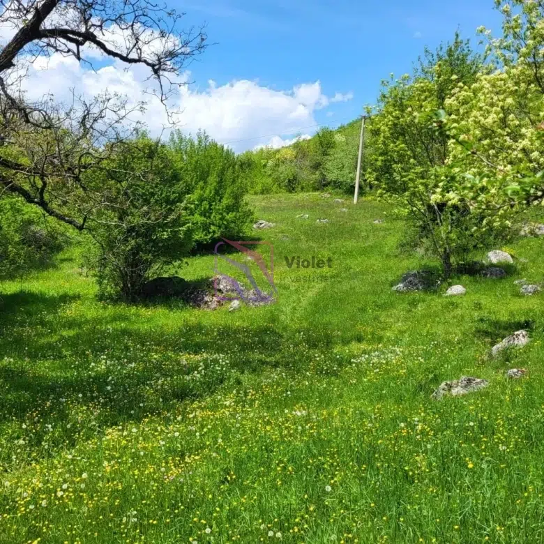 land for sale Nikšić Bršno 160000m2, large land Montenegro eco tourism investment, agricultural land Nikšić Montenegro, development land Montenegro 16 hectares, real estate Montenegro rural investment,violet investment