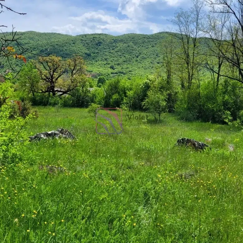 land for sale Nikšić Bršno 160000m2, large land Montenegro eco tourism investment, agricultural land Nikšić Montenegro, development land Montenegro 16 hectares, real estate Montenegro rural investment,violet investment