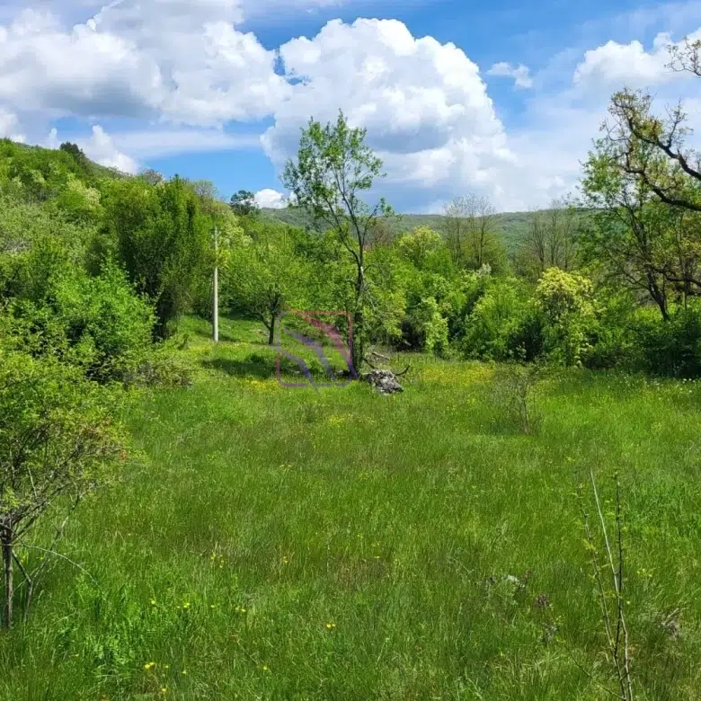 land for sale Nikšić Bršno 160000m2, large land Montenegro eco tourism investment, agricultural land Nikšić Montenegro, development land Montenegro 16 hectares, real estate Montenegro rural investment,violet investment