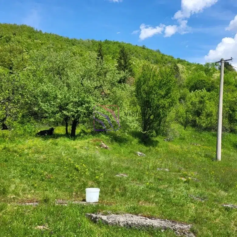 land for sale Nikšić Bršno 160000m2, large land Montenegro eco tourism investment, agricultural land Nikšić Montenegro, development land Montenegro 16 hectares, real estate Montenegro rural investment,violet investment