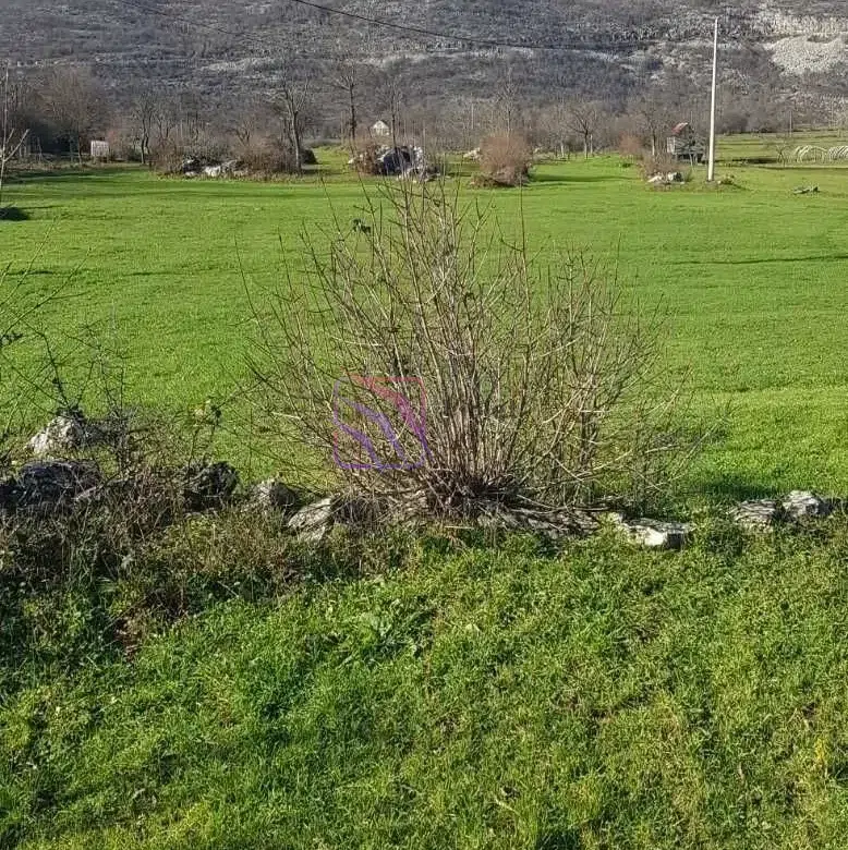land for sale Nikšić Montenegro 400000m2, development land Montenegro large plot, investment land Nikšić road Žabljak, eco tourism land Montenegro, real estate Montenegro big land parcel,violet investment