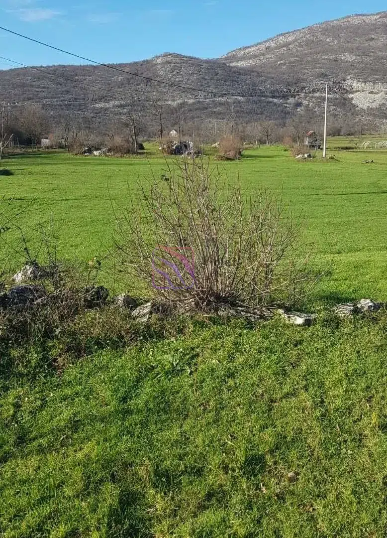 land for sale Nikšić Montenegro 400000m2, development land Montenegro large plot, investment land Nikšić road Žabljak, eco tourism land Montenegro, real estate Montenegro big land parcel,violet investment land for sale Nikšić Montenegro 400000m2, development land Montenegro large plot, investment land Nikšić road Žabljak, eco tourism land Montenegro, real estate Montenegro big land parcel,violet investment
