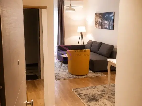 One Bedroom Apartment for Rent, 47m2, Central Point, Podgorica