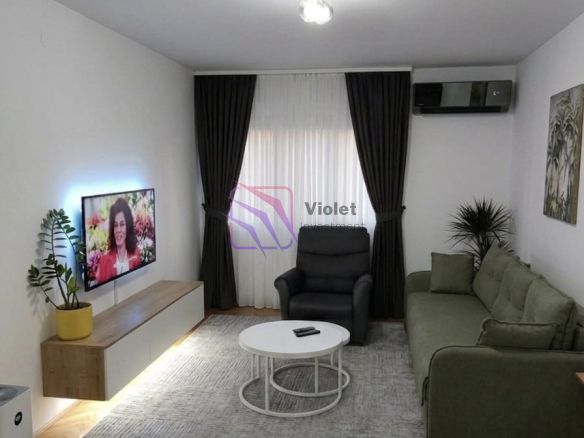 Renovated & Fully Furnished Apartment with Private Terrace and Green Oasis — Zabjelo