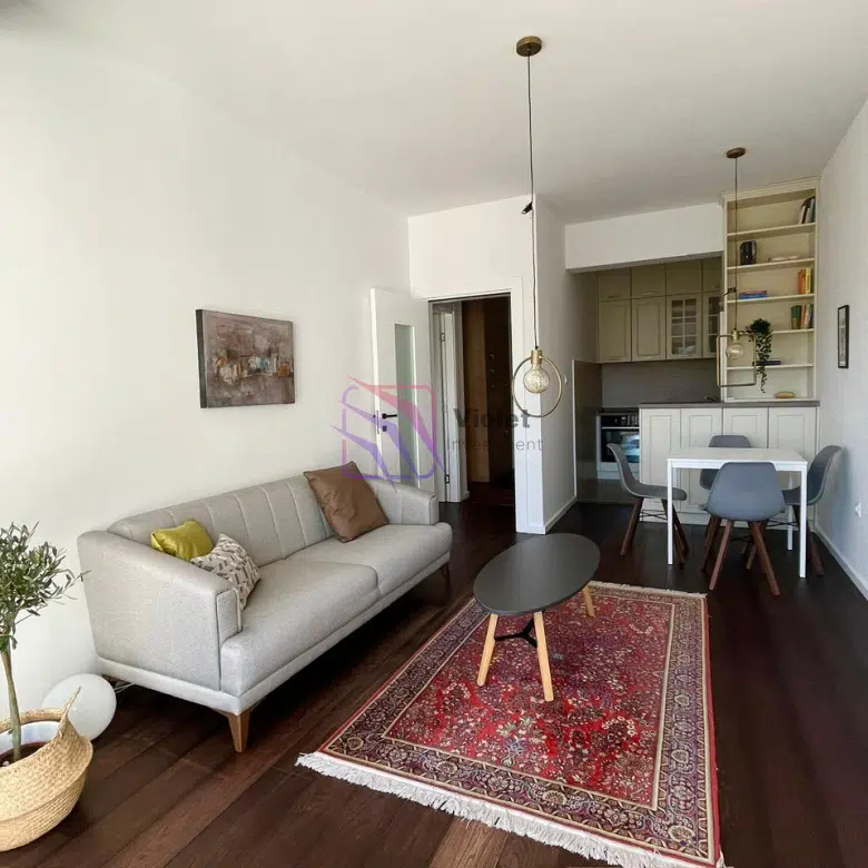 One-Bedroom Apartment for Rent – Vezirov Most, 48m²