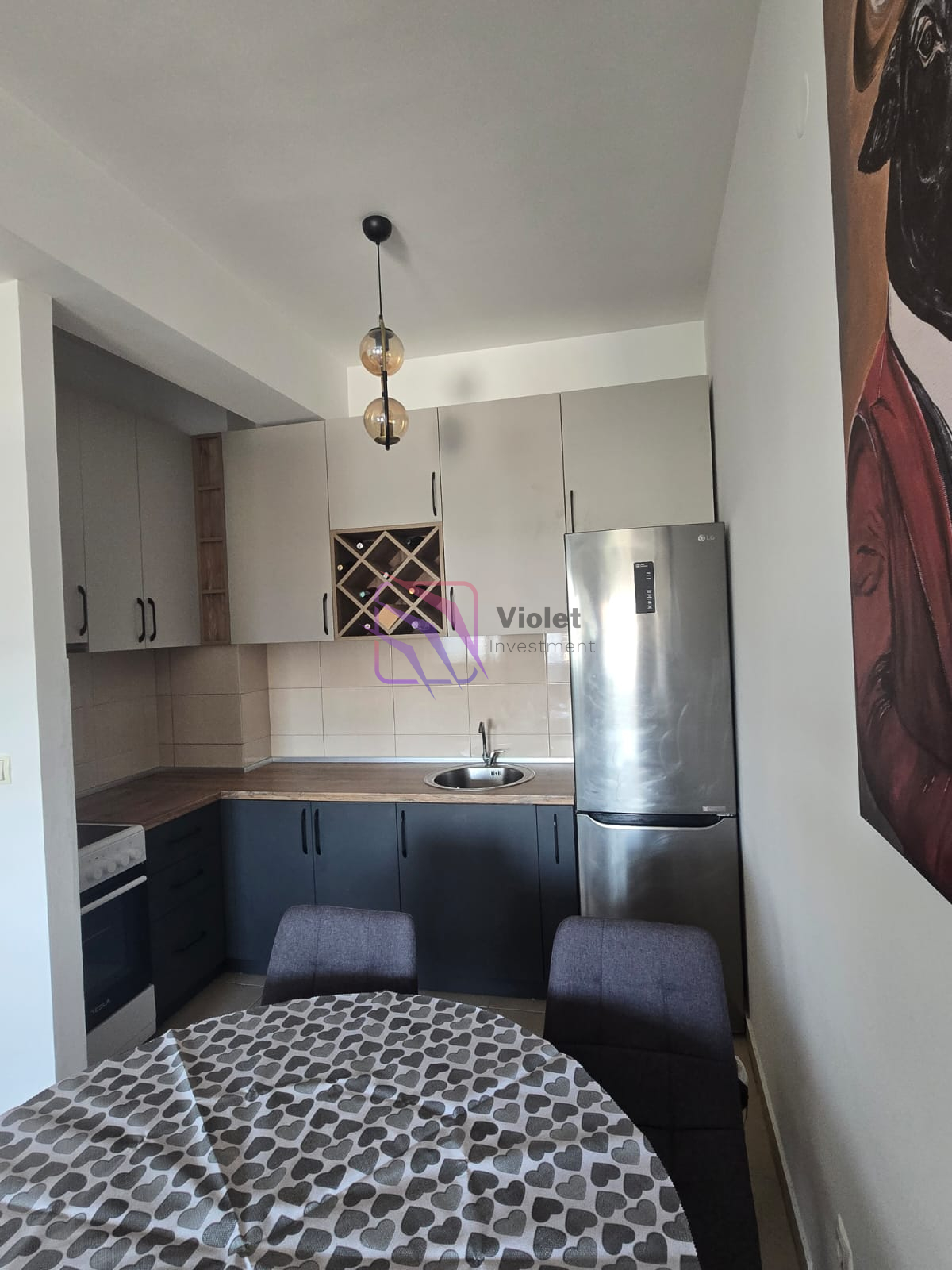 One Bedroom Apartment For Rent,46m², Zabjelo, Podgorica - Violet Investment