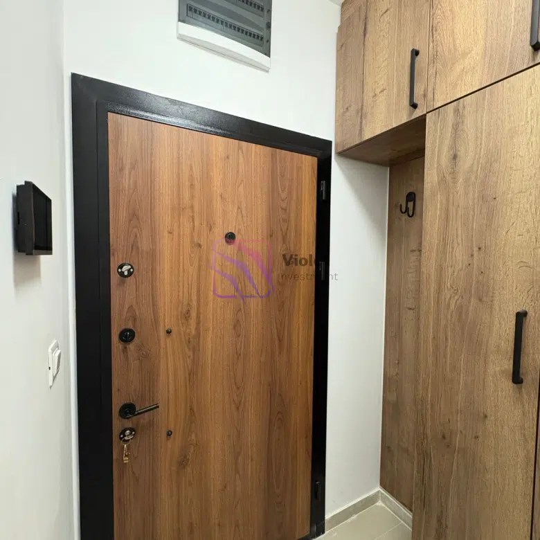 One Bedroom Apartment For Rent,46m2,Zabjelo,Podgorica