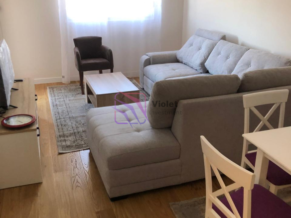 One Bedroom Apartment For Rent,46m2,Central point,Podgorica