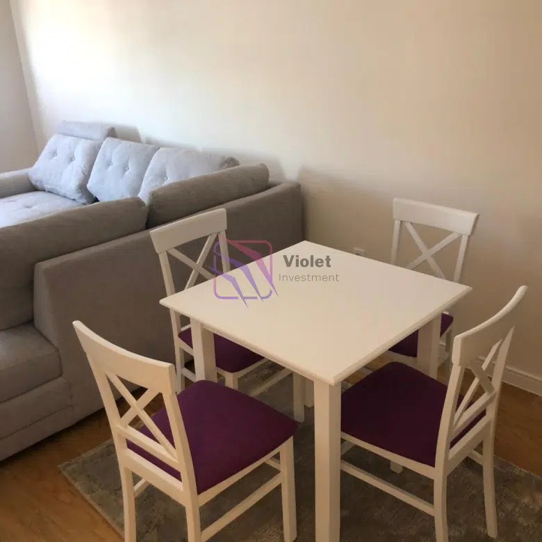 One-Bedroom Apartment for Rent – 46 m² – Central Point, Podgorica