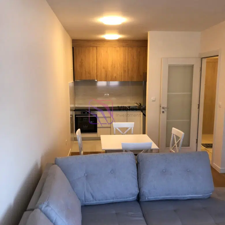 One-Bedroom Apartment for Rent – 46 m² – Central Point, Podgorica