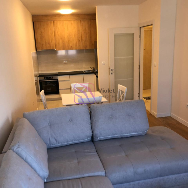 One-Bedroom Apartment for Rent – 46 m² – Central Point, Podgorica