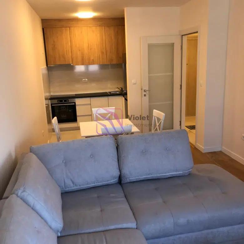 One-Bedroom Apartment for Rent – 46 m² – Central Point, Podgorica