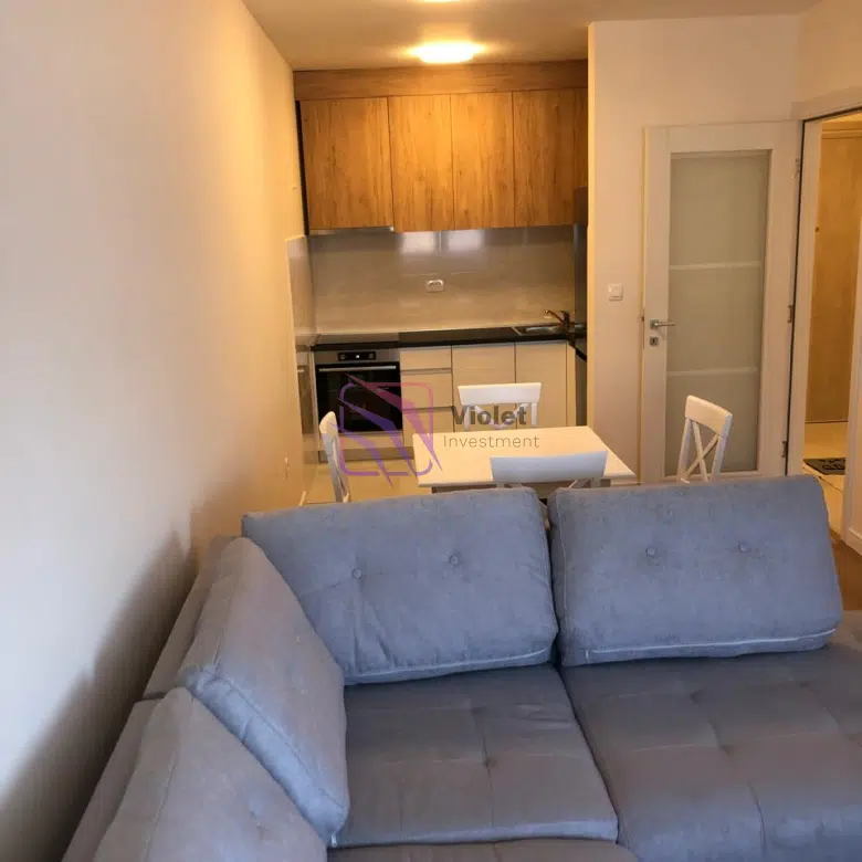 One-Bedroom Apartment for Rent – 46 m² – Central Point, Podgorica