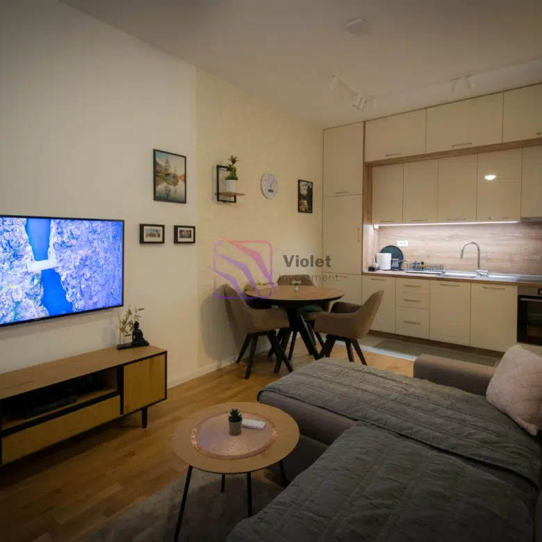 Posh Residence – One-Bedroom Apartment, Modernly Furnished – Tološi