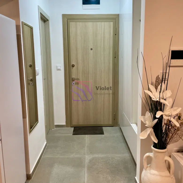 studio apartment for sale Riverside Podgorica, furnished studio Podgorica city center, Riverside Residence apartment Montenegro, investment apartment Podgorica 30m2, new construction studio Podgorica, apartment near Ribnica Podgorica, real estate Podgorica city center, Airbnb investment Podgorica.,violet investment