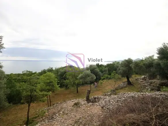 land for sale Reževići, sea view land Budva Riviera, development plot Montenegro coast, luxury villa land Reževići, investment land Budva Montenegro, 2650m2 land Montenegro, panoramic sea view plot, land near Sveti Stefan, luxury development opportunity Montenegro, coastal real estate Montenegro,violet investment