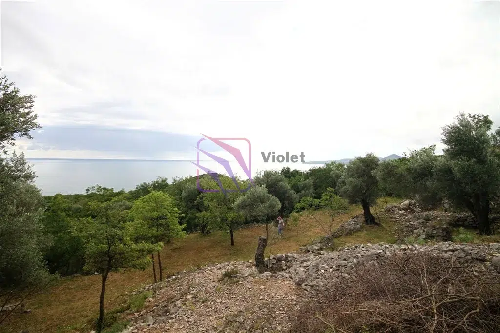 land for sale Reževići, sea view land Budva Riviera, development plot Montenegro coast, luxury villa land Reževići, investment land Budva Montenegro, 2650m2 land Montenegro, panoramic sea view plot, land near Sveti Stefan, luxury development opportunity Montenegro, coastal real estate Montenegro,violet investment
