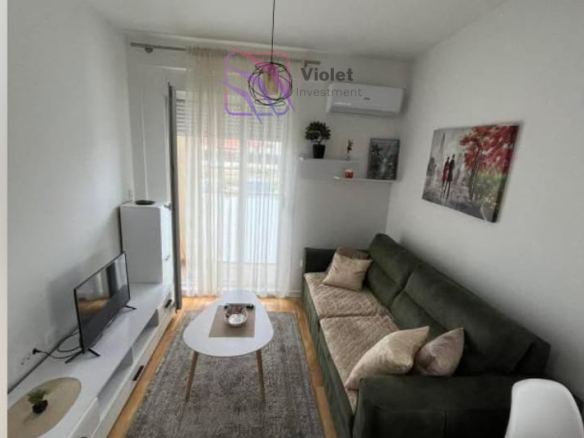 One-Bedroom Apartment For Rent with Private Parking in Zabjelo, Podgorica