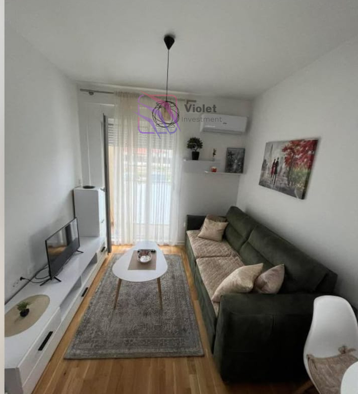 One-Bedroom Apartment For Rent with Private Parking in Zabjelo, Podgorica