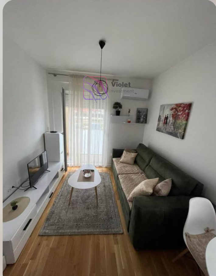WhatsApp Image 2026-06-01 at 08.48.37 One-Bedroom Apartment For Rent with Private Parking in Zabjelo, Podgorica