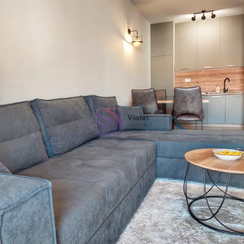 One-Bedroom Apartment for Rent – Master Quart, Podgorica
