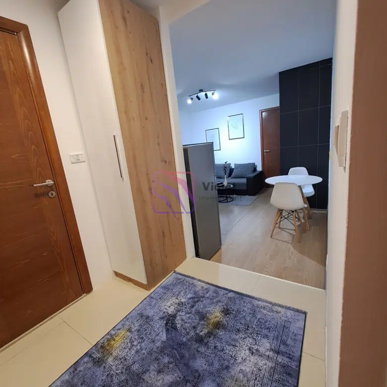 One Bedroom Apartment For Rent,45m2,Centar,Podgorica