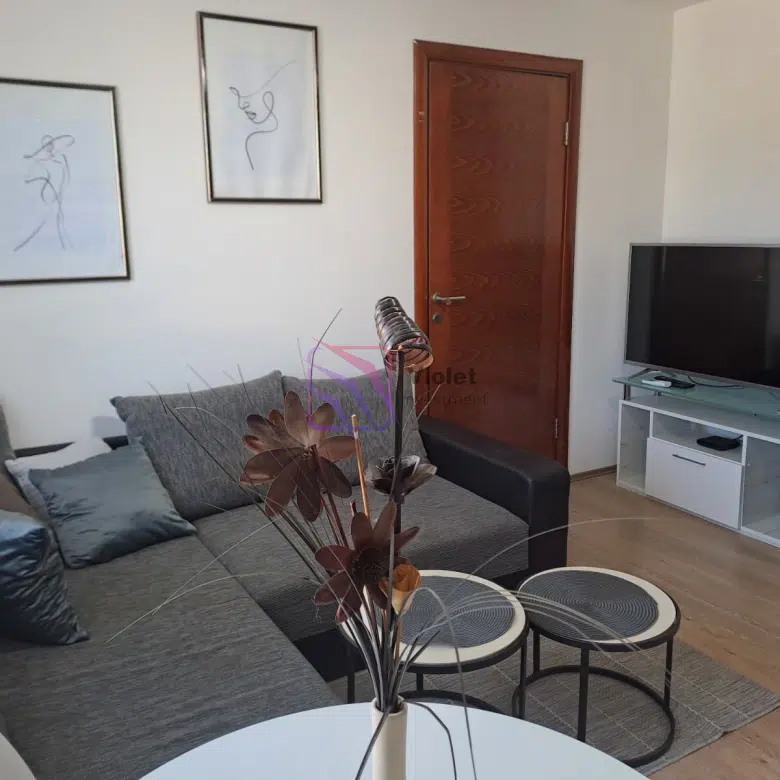 One Bedroom Apartment For Rent,45m2,Centar,Podgorica