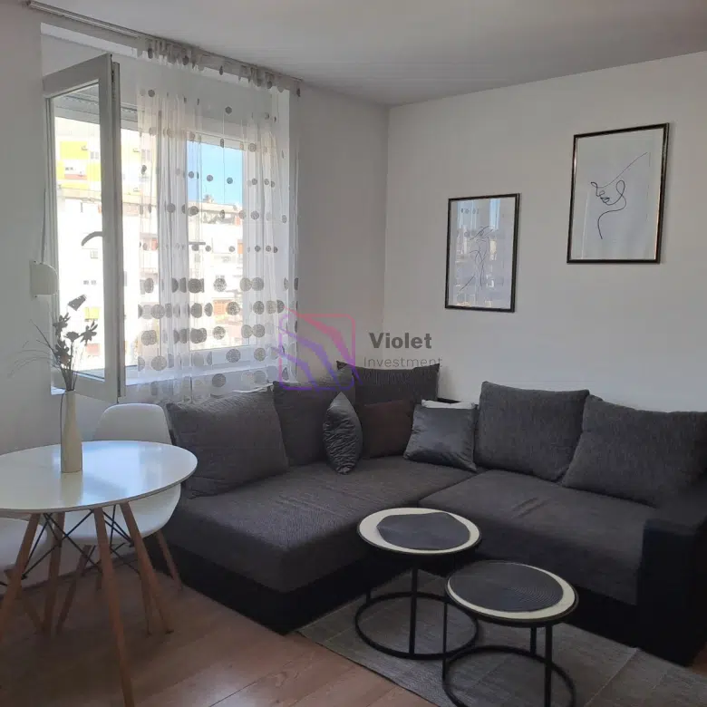 One Bedroom Apartment For Rent,45m2,Centar,Podgorica