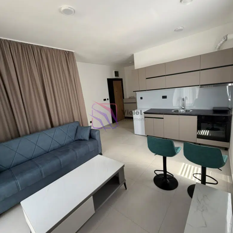 Modern Studio Apartment For Rent , 32 m², Zagorič, Podgorica