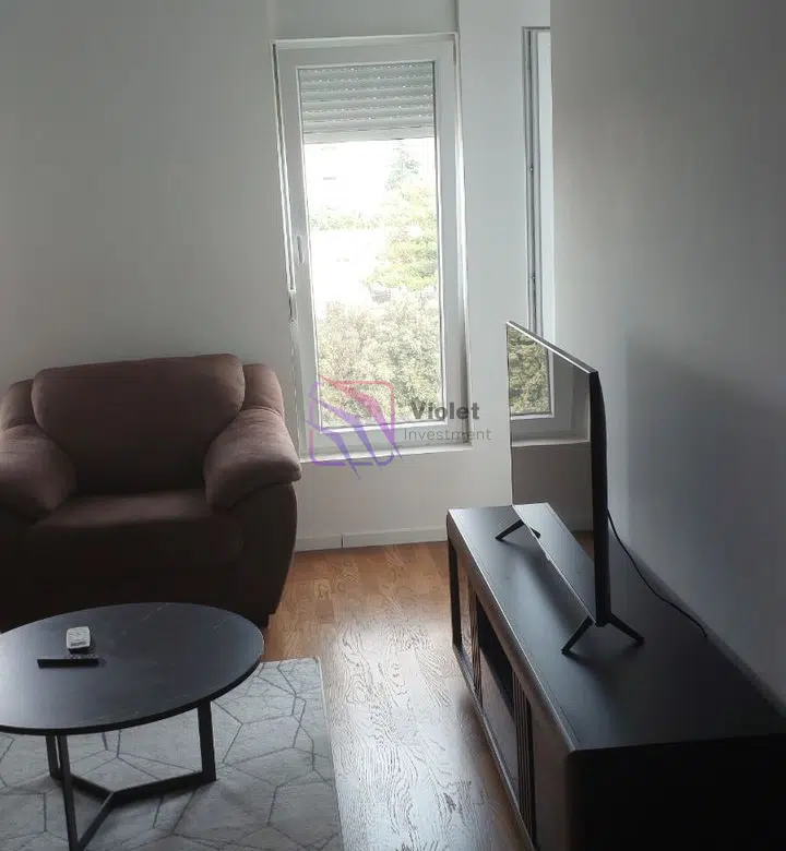 Fully Furnished One-Bedroom Apartment For Rent, 43 m², Zabjelo, Podgorica