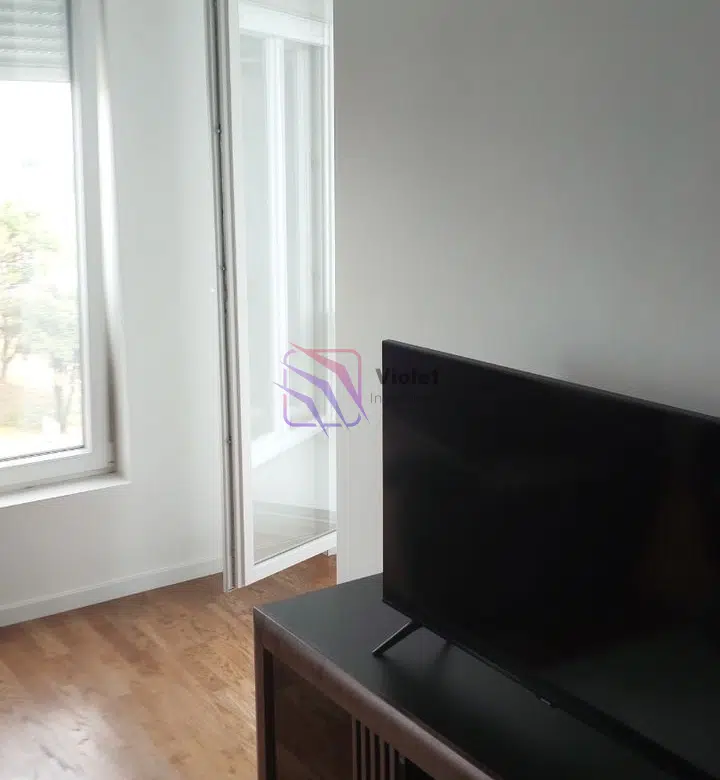 Fully Furnished One-Bedroom Apartment For Rent, 43 m², Zabjelo, Podgorica