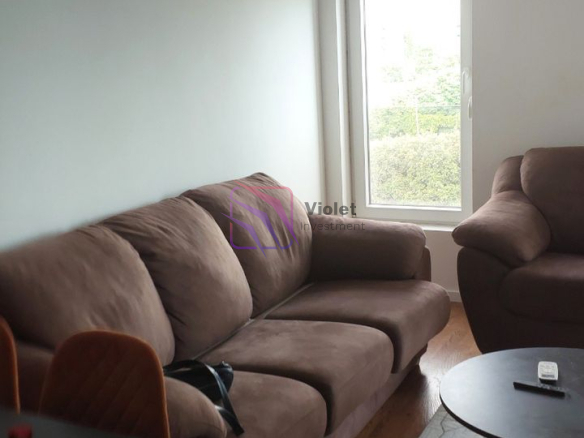 Fully Furnished One-Bedroom Apartment For Rent, 43 m², Zabjelo, Podgorica