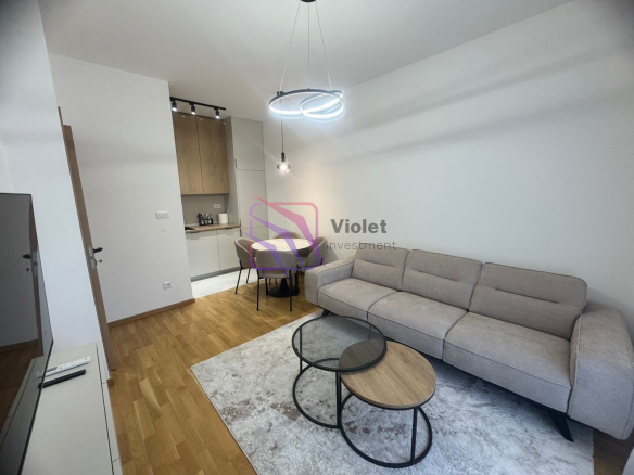 Fully Furnished One-Bedroom Apartment For Rent , 35 m², Zabjelo, Podgorica