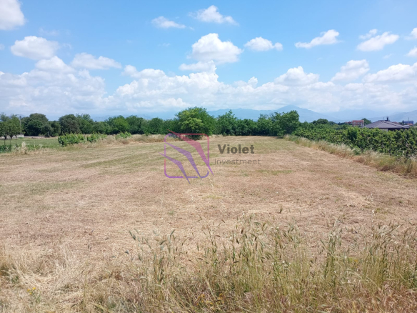 Land for Sale in Lekići, Podgorica