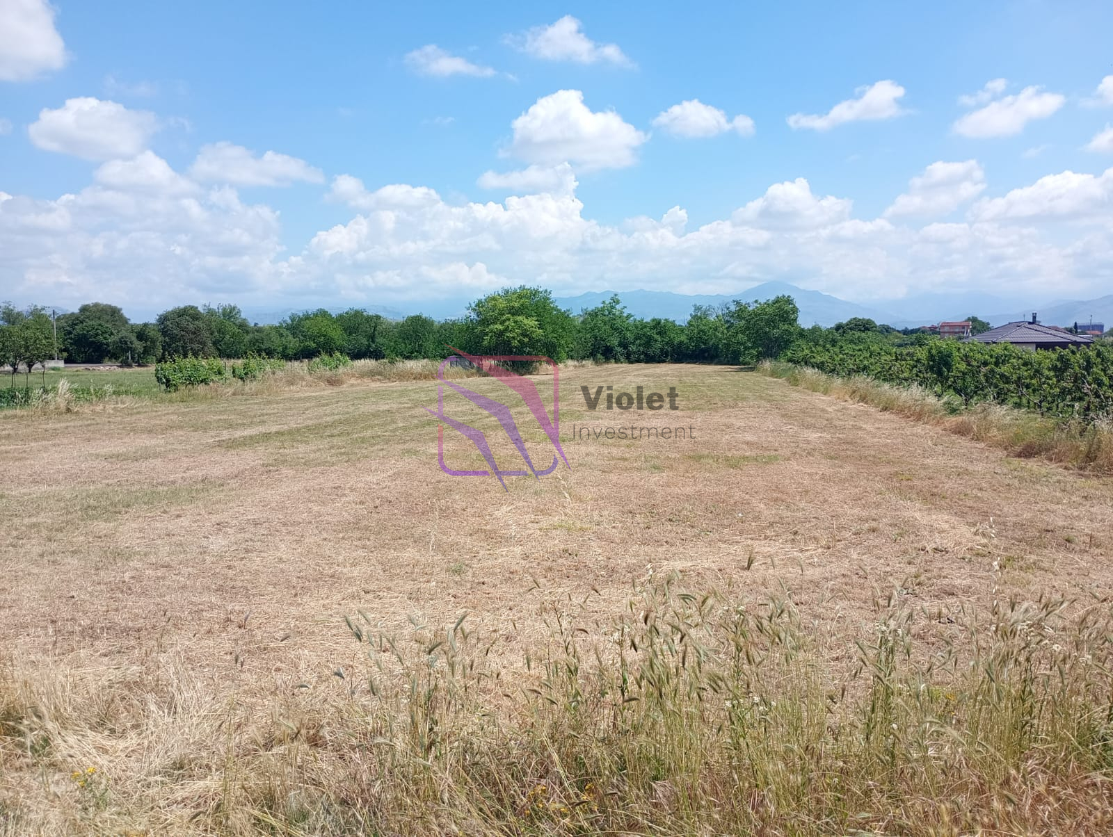WhatsApp Image 2026-06-19 at 09.26.55 Land for Sale in Lekići, Podgorica
