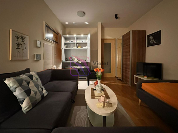 Modern Furnished Studio Apartment for Rent, Block 6, Podgorica