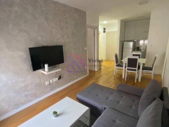 One-Bedroom Apartment for Rent | €500 | Central Point, Podgorica