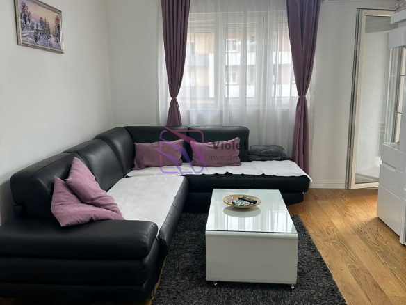 One-Bedroom Apartment for Rent, Central Point, Podgorica