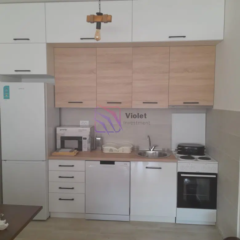 One-Bedroom Apartment with Private Garage for Rent, Zabjelo, Podgorica